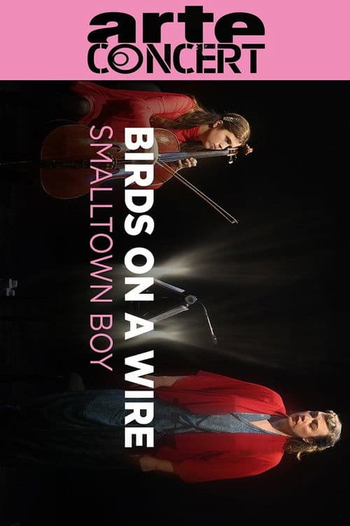 Birds On A Wire @ Louvre Museum poster