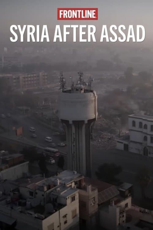 Syria After Assad poster