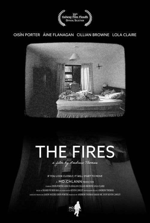 The Fires poster