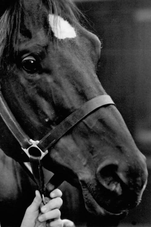 Docs Keepin Time profile photo