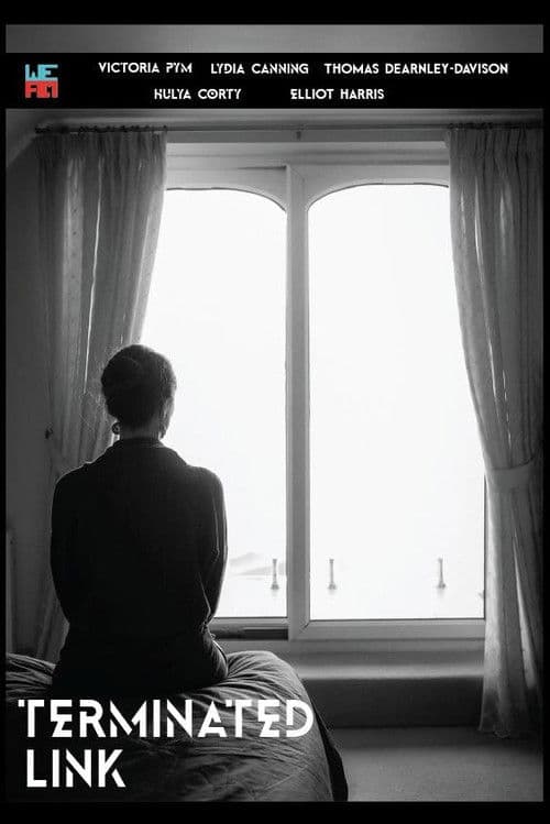 Terminated Link poster