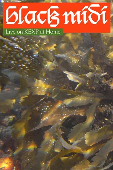 black midi: Live on KEXP at Home poster