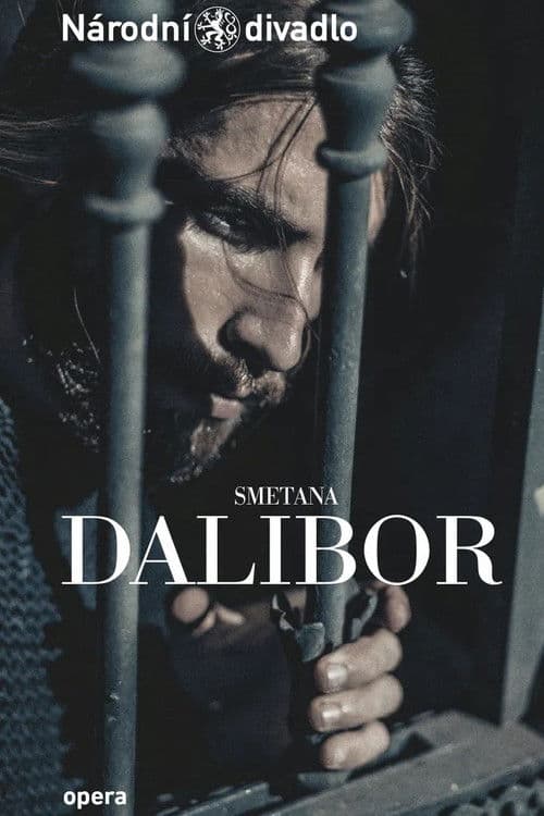 Dalibor poster