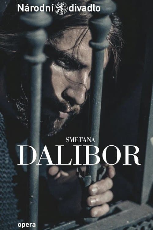 Dalibor poster