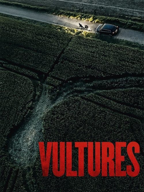 Vultures poster