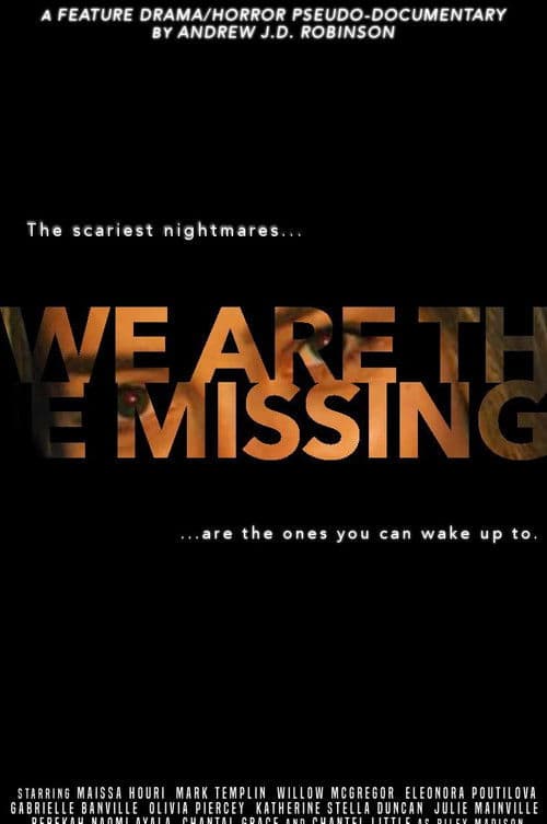 We Are The Missing poster