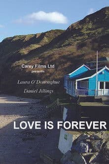 Love Is Forever poster