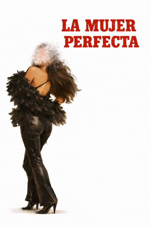 The Perfect Woman poster