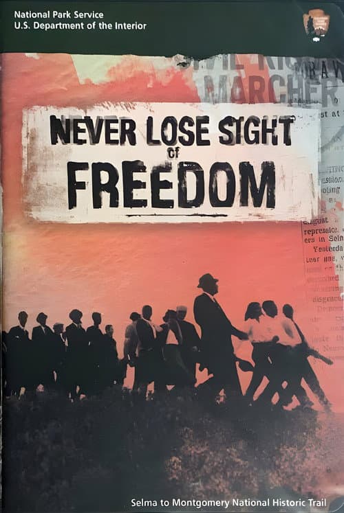 Never Lose Sight of Freedom poster