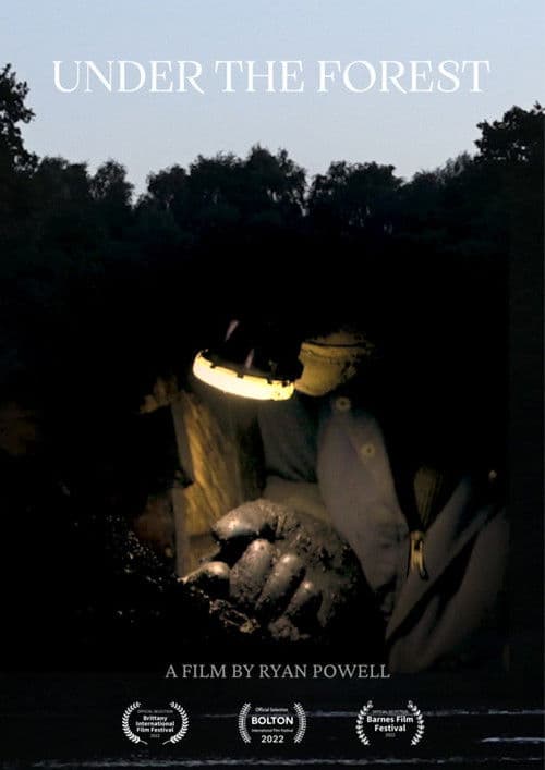 Under the Forest poster