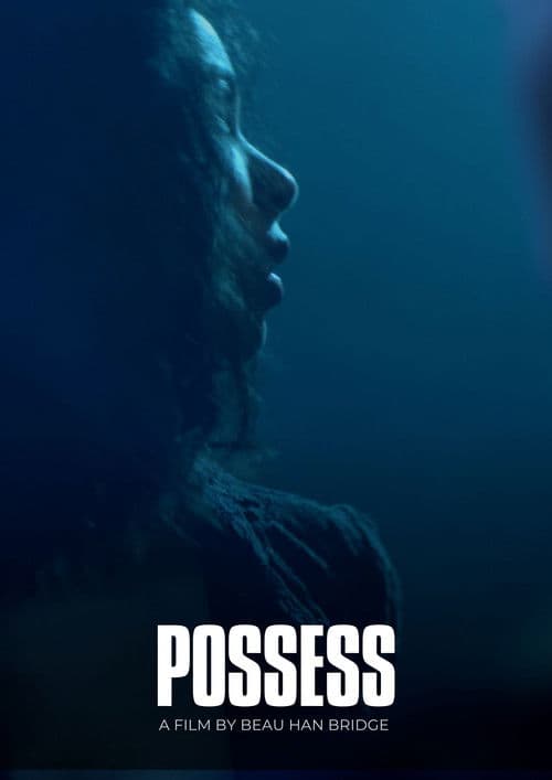 Possess poster