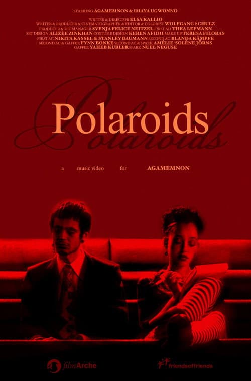 Polaroids poster
