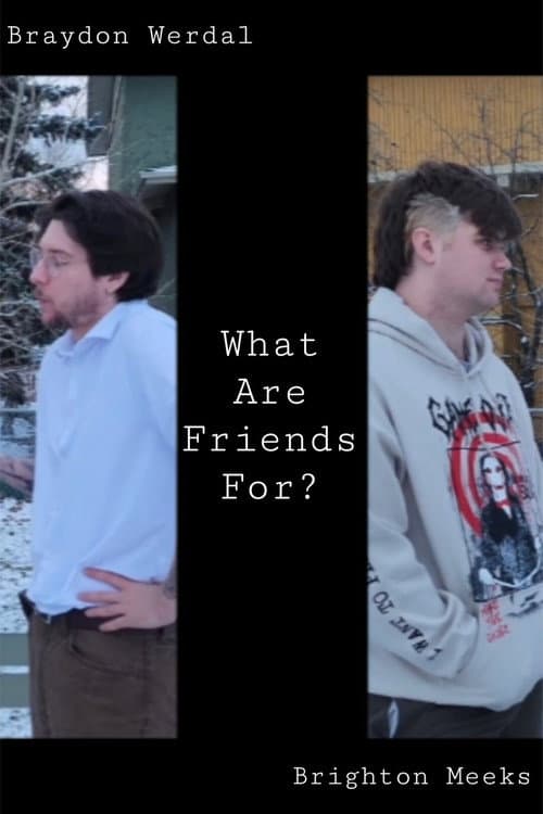 What Are Friends For? poster