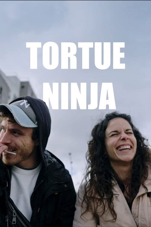 Tortue Ninja poster