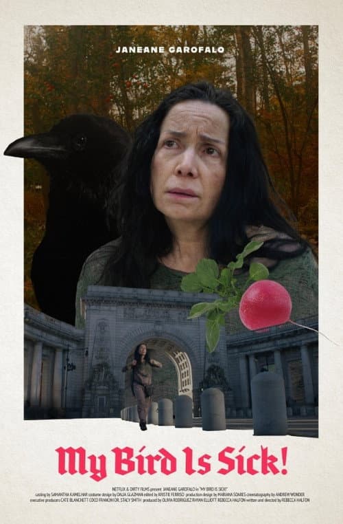 My Bird Is Sick! poster