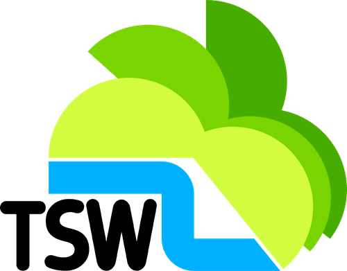 Television South West