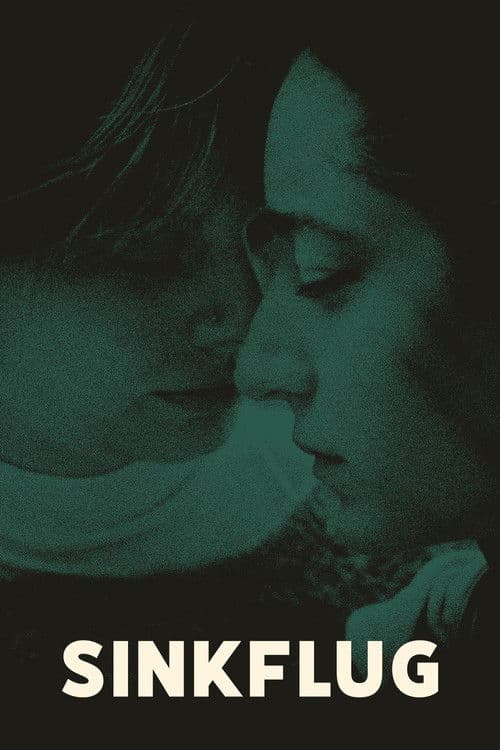 Loss of Altitude poster