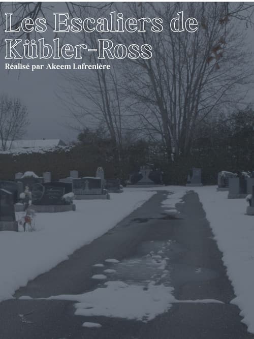 Les Escaliers de Kübler-Ross poster