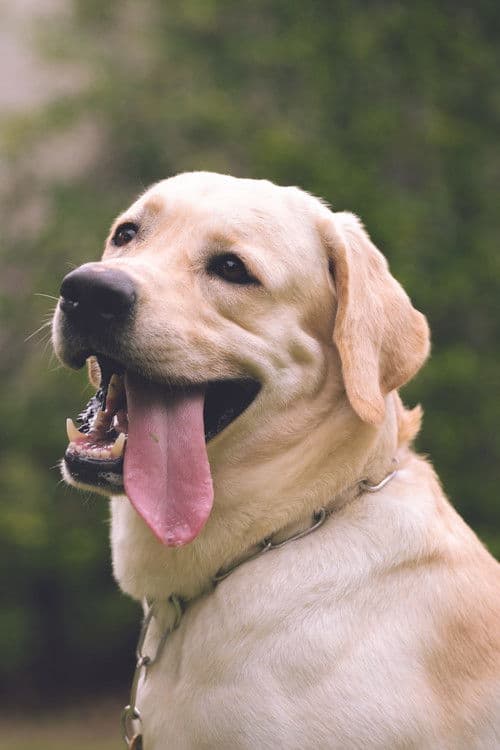 Somwang profile photo