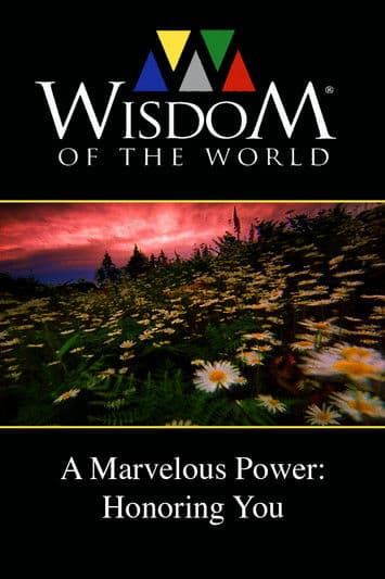 A Marvelous Power: Honoring You poster