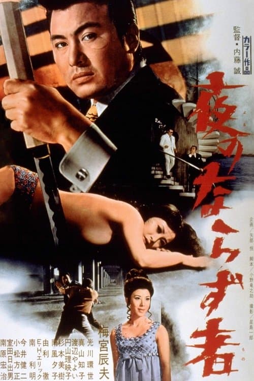 Rogue Of The Night poster