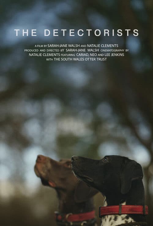 The Detectorists poster