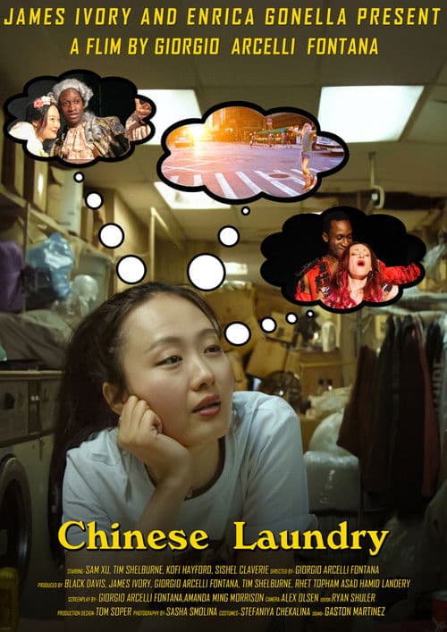 Chinese Laundry poster