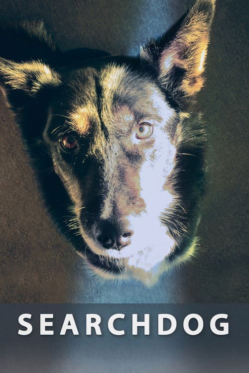 Searchdog poster