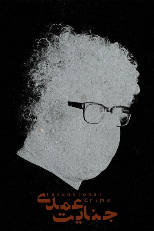 Intentional Crime poster