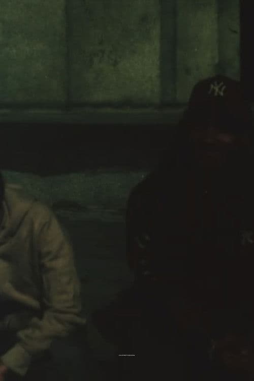 Color Print as Reversal poster