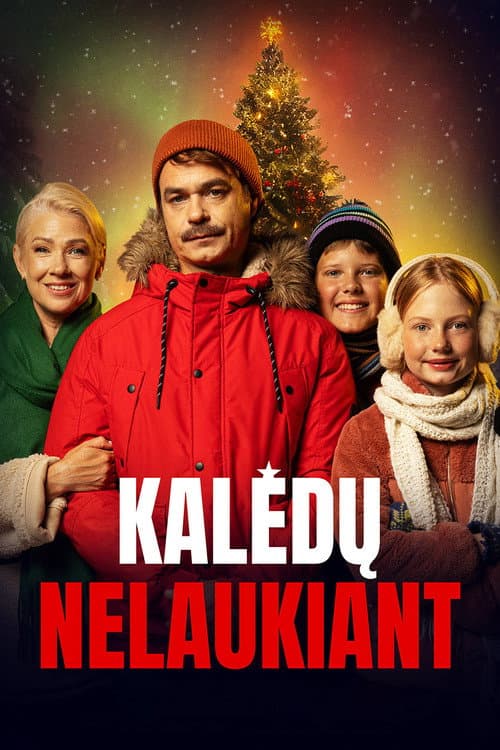 Not Waiting for Christmas poster