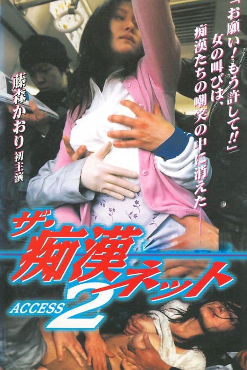 The Molester Net ACCESS 2 poster