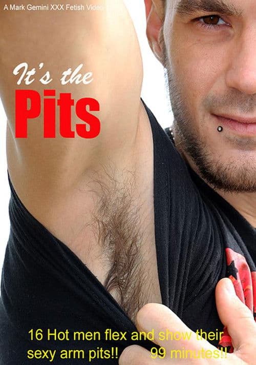 It's the Pits poster