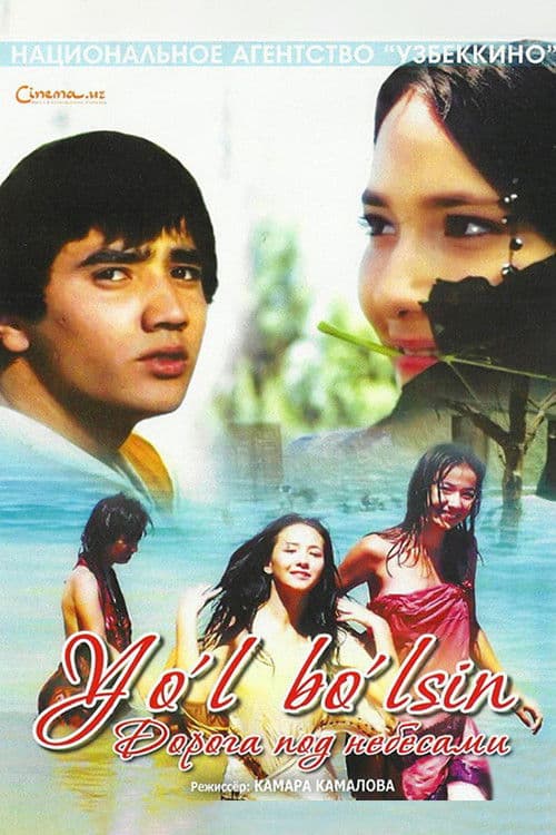 Road Under the Skies poster