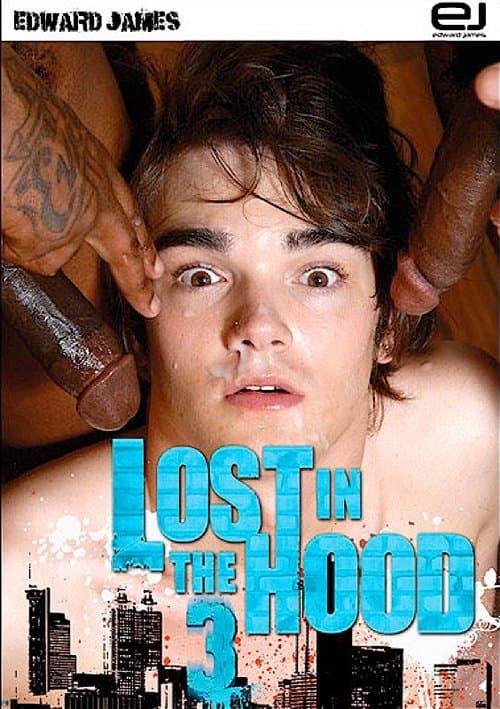 Lost in the Hood 3 poster
