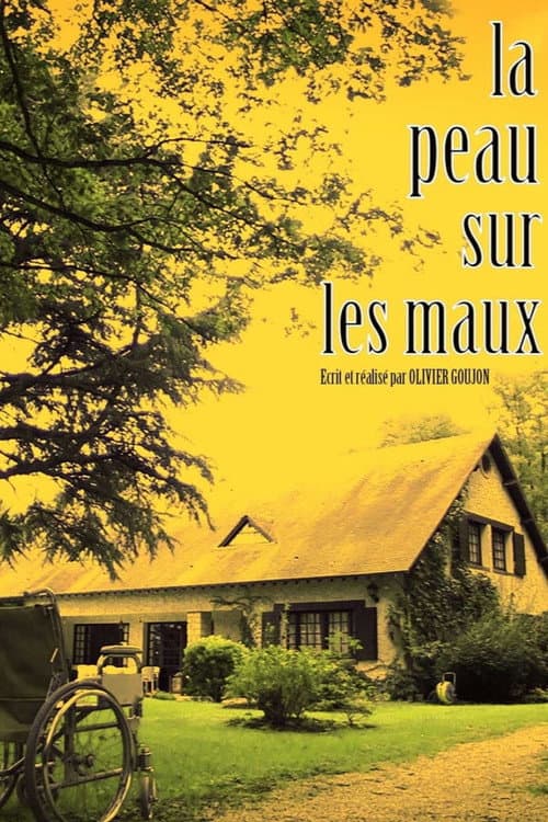 La Peau sur les maux poster