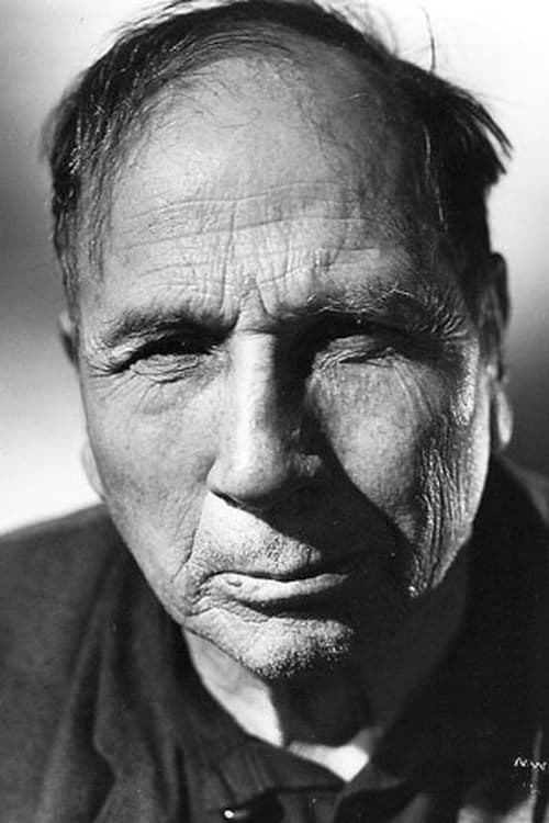 Tom Wilson profile photo