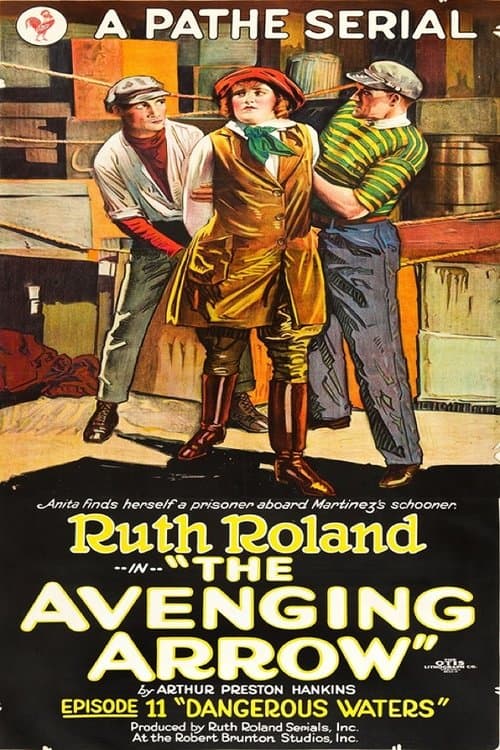 The Avenging Arrow poster