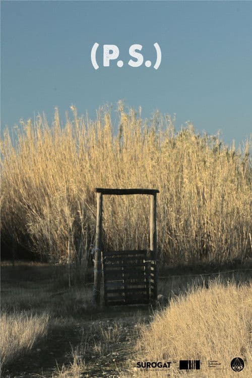 (P.S.) poster
