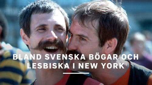 Bland svenska bögar och lesbiska i New York poster