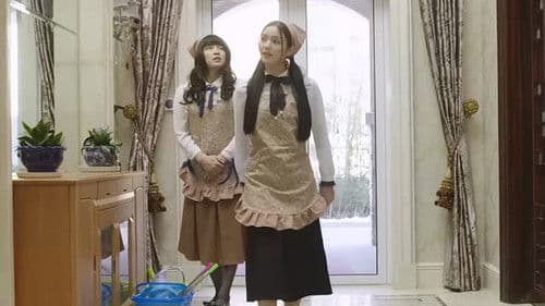 Double Shadow poster