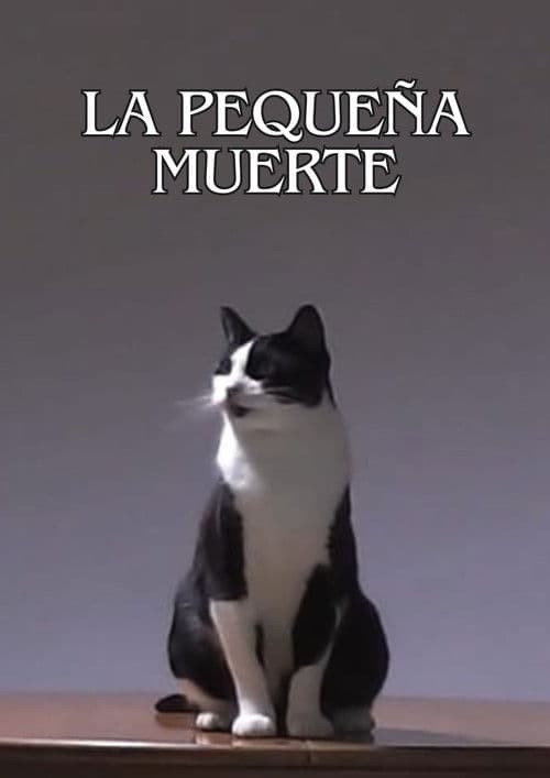 La Pequeña Muerte poster