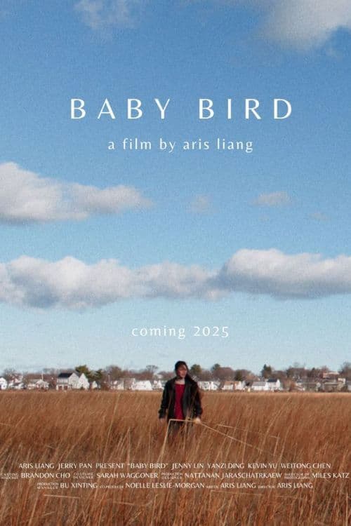 Baby Bird poster