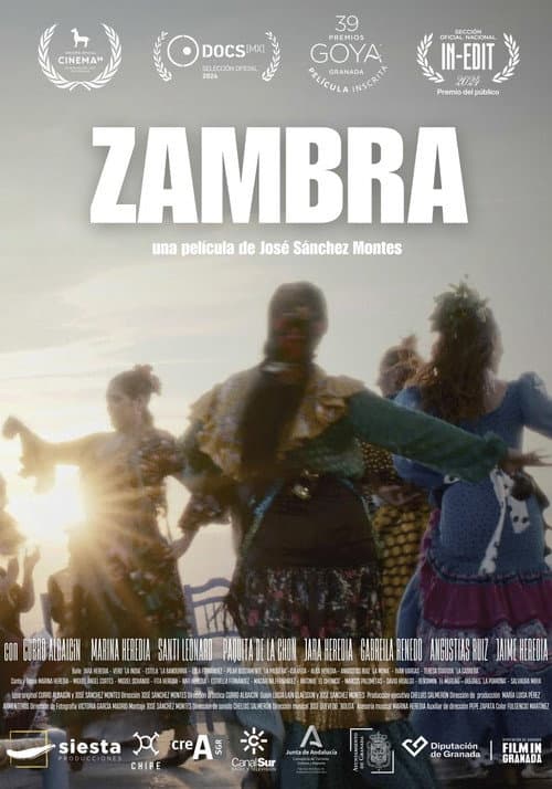 Zambra poster