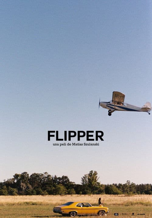 Flipper poster
