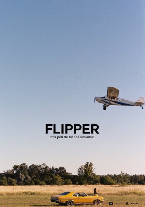 Flipper poster