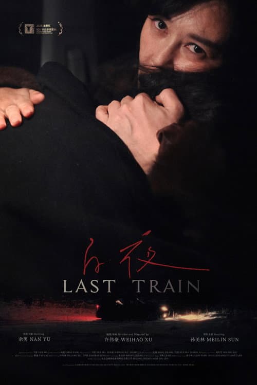 Last Train poster
