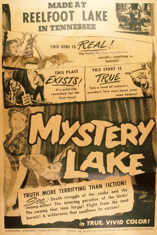 Mystery Lake poster