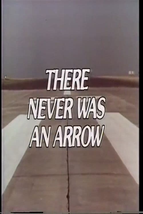 There Never Was an Arrow poster