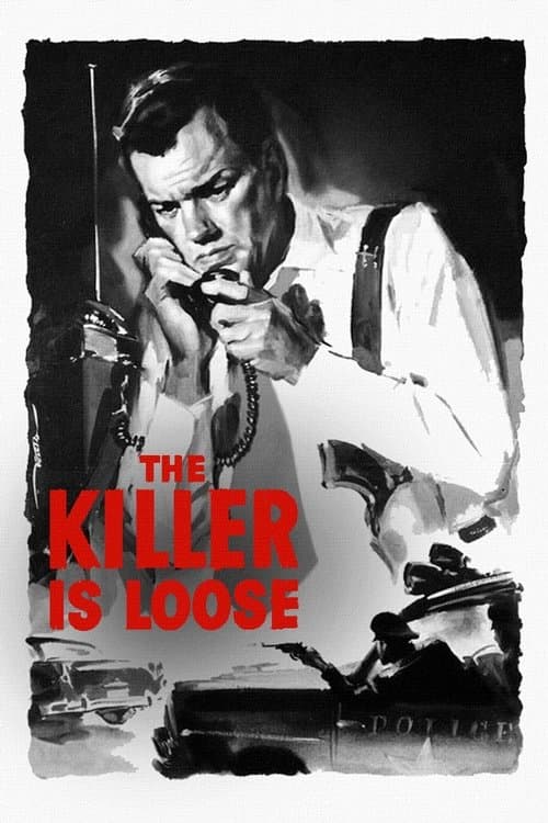 The Killer Is Loose poster